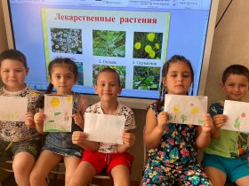 День лекарственных растений